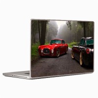 Theskinmantra Parked Beauties Laptop Decal 13.3   Laptop Accessories  (Theskinmantra)