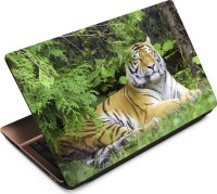 Anweshas Tiger T102 Vinyl Laptop Decal 15.6   Laptop Accessories  (Anweshas)