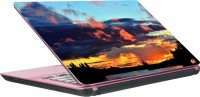 Dspbazar DSP BAZAR 6977 Vinyl Laptop Decal 15.6   Laptop Accessories  (DSPBAZAR)