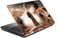meSleep Cat 70-549 Vinyl Laptop Decal 15.6   Laptop Accessories  (meSleep)