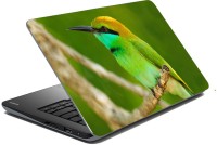 meSleep Wild Life 70-365 Vinyl Laptop Decal 15.6   Laptop Accessories  (meSleep)