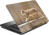 meSleep Cat 67-034 Vinyl Laptop Decal 15.6   Laptop Accessories  (meSleep)