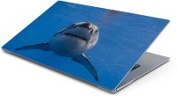 Lovely Collection Shark Vinyl Laptop Decal 15.6   Laptop Accessories  (Lovely Collection)