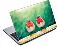 ezyPRNT Abstract Beautiful Bird A (14 to 14.9 inch) Vinyl Laptop Decal 14   Laptop Accessories  (ezyPRNT)