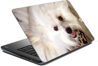 meSleep Dog LS-57-171 Vinyl Laptop Decal 15.6   Laptop Accessories  (meSleep)