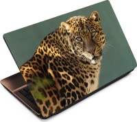 View Anweshas Leopard LP001 Vinyl Laptop Decal 15.6 Laptop Accessories Price Online(Anweshas)