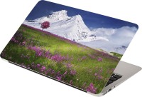 Anweshas Ice Hill Vinyl Laptop Decal 15.6   Laptop Accessories  (Anweshas)