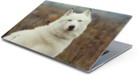 Lovely Collection Dangerous Wolf Vinyl Laptop Decal 15.6   Laptop Accessories  (Lovely Collection)