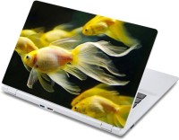 ezyPRNT The Golden Fishes Aquatic (13 to 13.9 inch) Vinyl Laptop Decal 13   Laptop Accessories  (ezyPRNT)