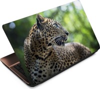 Anweshas Leopard LP025 Vinyl Laptop Decal 15.6   Laptop Accessories  (Anweshas)