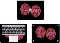 Swagsutra Two Roses Vinyl Laptop Decal 11   Laptop Accessories  (Swagsutra)