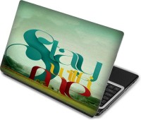 Shopmania Printed laptop stickers-117 Vinyl Laptop Decal 15.6   Laptop Accessories  (Shopmania)