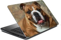 meSleep Dog LS-57-027 Vinyl Laptop Decal 15.6   Laptop Accessories  (meSleep)