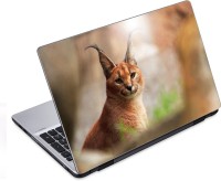 ezyPRNT Wild Cat (14 to 14.9 inch) Vinyl Laptop Decal 14   Laptop Accessories  (ezyPRNT)