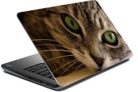 meSleep Cat 70-665 Vinyl Laptop Decal 15.6   Laptop Accessories  (meSleep)