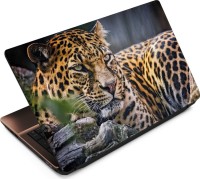 Anweshas Leopard LP037 Vinyl Laptop Decal 15.6   Laptop Accessories  (Anweshas)