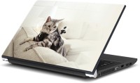 ezyPRNT Cat on sofa Pet Animal (15 to 15.6 inch) Vinyl Laptop Decal 15   Laptop Accessories  (ezyPRNT)