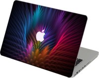 Theskinmantra Feather Background Vinyl Laptop Decal 13   Laptop Accessories  (Theskinmantra)