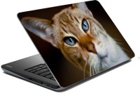 meSleep Cat 70-574 Vinyl Laptop Decal 15.6   Laptop Accessories  (meSleep)