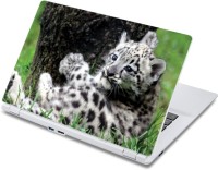ezyPRNT Panther Cub Looking Back Wildlife (13 to 13.9 inch) Vinyl Laptop Decal 13   Laptop Accessories  (ezyPRNT)