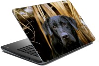 meSleep Dog LS-57-065 Vinyl Laptop Decal 15.6   Laptop Accessories  (meSleep)
