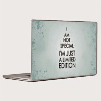 Theskinmantra Its True Laptop Decal 14.1   Laptop Accessories  (Theskinmantra)