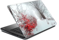 meSleep Nature LS-42-255 Vinyl Laptop Decal 15.6   Laptop Accessories  (meSleep)