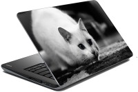 meSleep Cat 70-660 Vinyl Laptop Decal 15.6   Laptop Accessories  (meSleep)