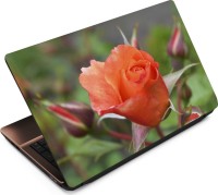 Finest Flower FL50 Vinyl Laptop Decal 15.6   Laptop Accessories  (Finest)