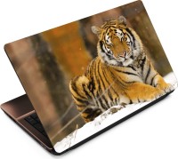 View Anweshas Tiger T043 Vinyl Laptop Decal 15.6 Laptop Accessories Price Online(Anweshas)