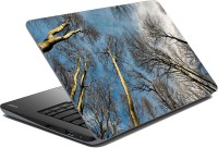 meSleep Nature LS-54-266 Vinyl Laptop Decal 15.6   Laptop Accessories  (meSleep)