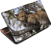Anweshas Leopard LP059 Vinyl Laptop Decal 15.6   Laptop Accessories  (Anweshas)