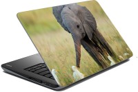 meSleep Wild Life 70-083 Vinyl Laptop Decal 15.6   Laptop Accessories  (meSleep)