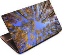Finest Autumn ATM005 Vinyl Laptop Decal 15.6   Laptop Accessories  (Finest)