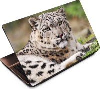 View Anweshas Leopard LP040 Vinyl Laptop Decal 15.6 Laptop Accessories Price Online(Anweshas)
