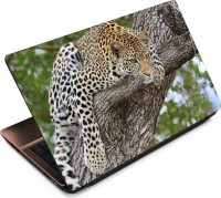 View Anweshas Leopard LP026 Vinyl Laptop Decal 15.6 Laptop Accessories Price Online(Anweshas)