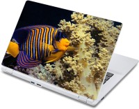 ezyPRNT The Amazing colorful Fish Aquatic (13 to 13.9 inch) Vinyl Laptop Decal 13   Laptop Accessories  (ezyPRNT)