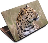 Anweshas Leopard LP061 Vinyl Laptop Decal 15.6   Laptop Accessories  (Anweshas)