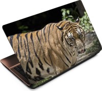 Anweshas Tiger T095 Vinyl Laptop Decal 15.6   Laptop Accessories  (Anweshas)