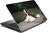 meSleep Dog LS-57-085 Vinyl Laptop Decal 15.6   Laptop Accessories  (meSleep)