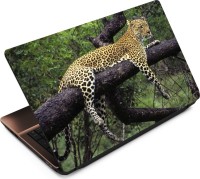 Anweshas Leopard LP041 Vinyl Laptop Decal 15.6   Laptop Accessories  (Anweshas)