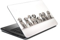 meSleep Dog LS-57-212 Vinyl Laptop Decal 15.6   Laptop Accessories  (meSleep)