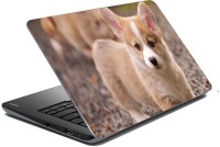 meSleep Dog 70-725 Vinyl Laptop Decal 15.6   Laptop Accessories  (meSleep)