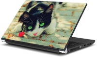 ezyPRNT Shhh! Cat is Stairing Pet Animal (15 to 15.6 inch) Vinyl Laptop Decal 15   Laptop Accessories  (ezyPRNT)