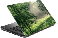 meSleep Nature LS-44-266 Vinyl Laptop Decal 15.6   Laptop Accessories  (meSleep)