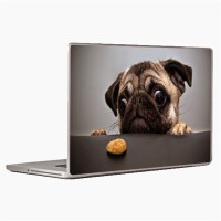 Theskinmantra Puggy Laptop Decal 14.1   Laptop Accessories  (Theskinmantra)