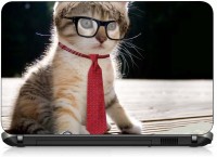 VI Collections CAT WAS DIESENTED pvc Laptop Decal 15.6   Laptop Accessories  (VI Collections)