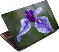 Finest Flower FL39 Vinyl Laptop Decal 15.6   Laptop Accessories  (Finest)