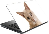 meSleep Cat 70-540 Vinyl Laptop Decal 15.6   Laptop Accessories  (meSleep)