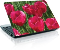 Shopmania Open Flower Vinyl Laptop Decal 15.6   Laptop Accessories  (Shopmania)